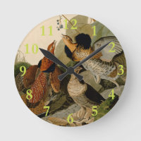 Ruffed Grouse Audubon Game Bird