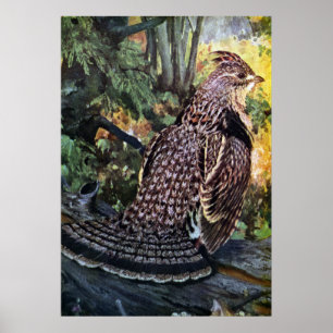 Ruffed Grouse im Wald Poster
