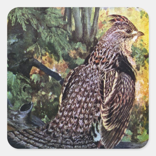 Ruffed Grouse im Wald Quadratischer Aufkleber (Vorderseite)