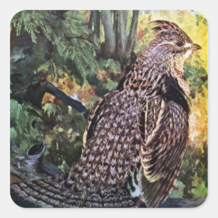 Ruffed Grouse im Wald Quadratischer Aufkleber