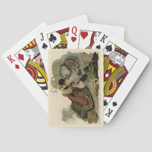 Ruffed Grouse - von Audubons Vögeln in Amerika Spielkarten