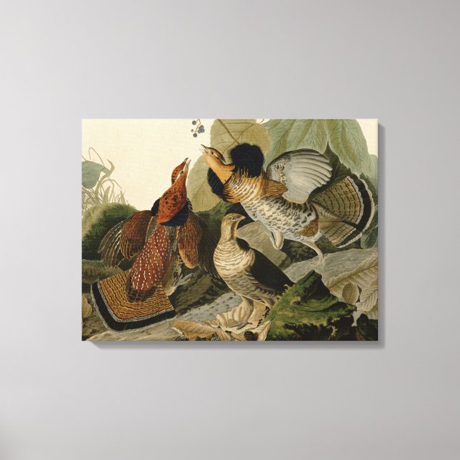 Ruffed Grouse von John Audubon Leinwanddruck (Vorderseite)