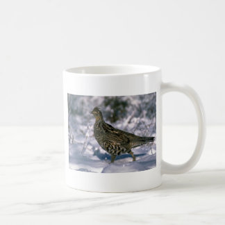 Ruffed Waldhuhn stehend im schneebedeckten Holz Tasse