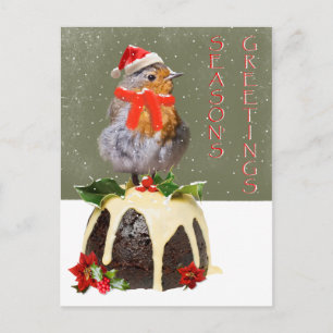 Ruffled Robin Christmas Postcard Feiertagspostkarte