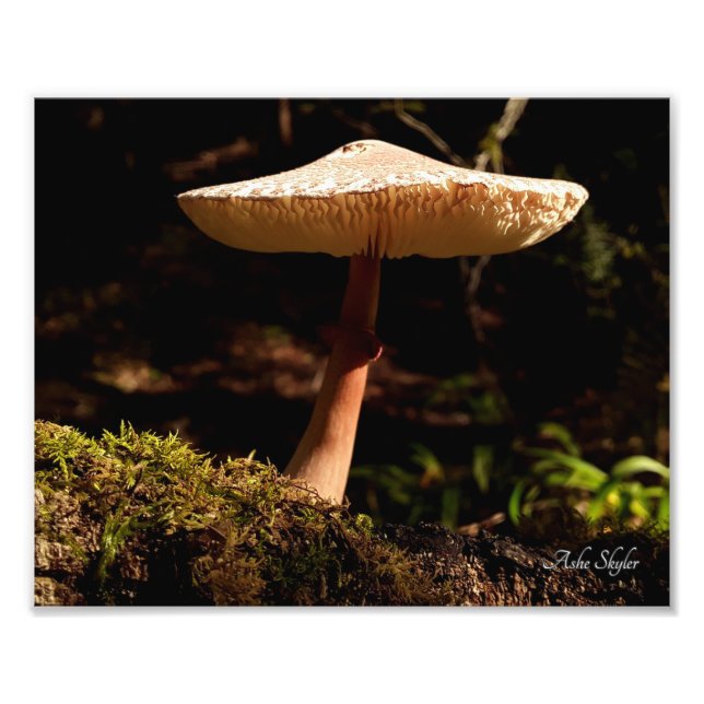 Ruffles Fotodruck (Vorne)