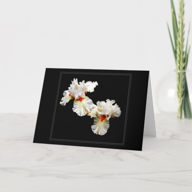 'Ruffles' leere Grußkarte Karte (Vorderseite)