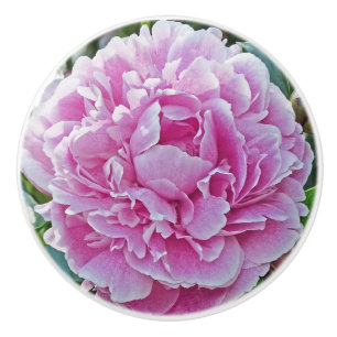 "Ruffles of Pink Peony" Keramikknauf