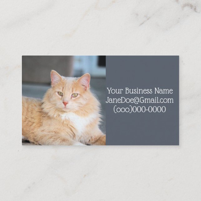 Ruffles Visitenkarte (Rückseite)