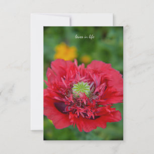Ruffly Red Poppy Mitteilungskarte