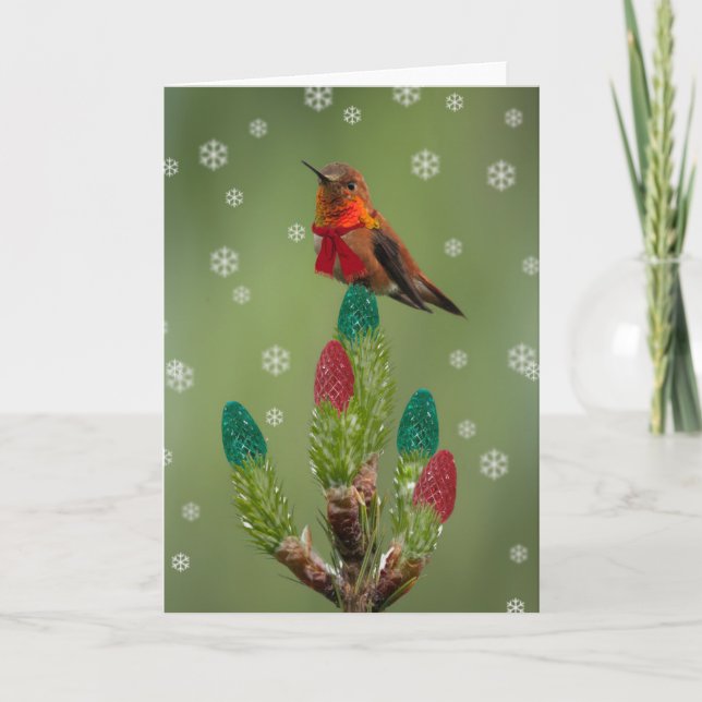 Rufous bereit zu Weihnachten (Vorderseite)