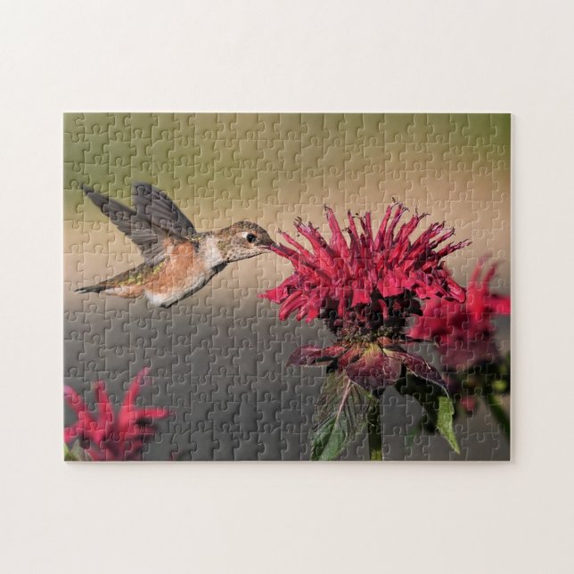 Rufous Bird Hummingbird Flight Wings Blume Puzzle (Horizontal)