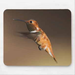 Rufous Hummingbird auf dem Flug Mousepad