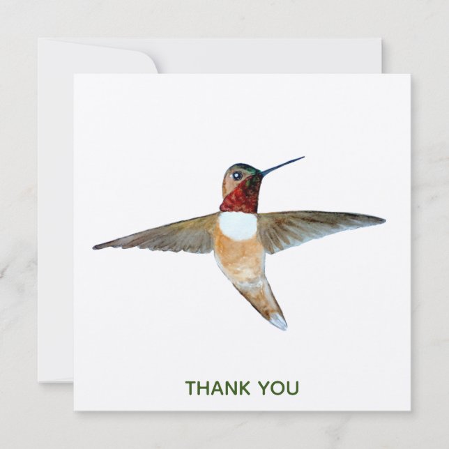 Rufous Hummingbird Dankeskarte (Vorderseite)