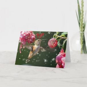 Rufous Hummingbird Feiertagskarte