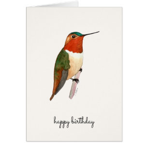 Rufous Hummingbird Geburtstagskarte