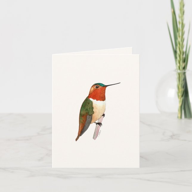 Rufous Hummingbird Grußkarte Karte (Vorderseite)