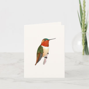 Rufous Hummingbird Grußkarte Karte