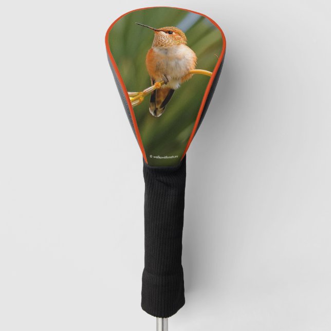 Rufous Hummingbird in Erholung Golf Headcover (Vorderseite)
