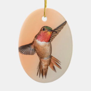 Rufous Hummingbird in Flug Monogram Name Keramik Ornament