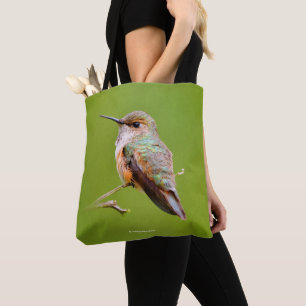 Rufous Hummingbird sitzt im kalifornischen Lilac