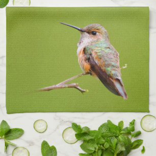 Rufous Hummingbird sitzt im kalifornischen Lilac Handtuch