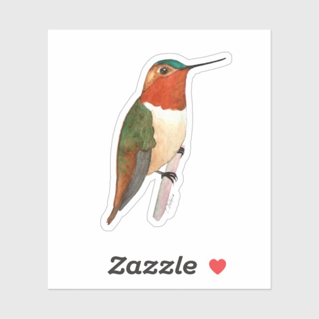 Rufous Hummingbird Sticker (Blatt)
