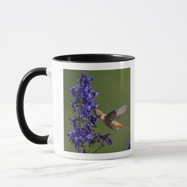 Rufous Hummingbird Tasse (Links)