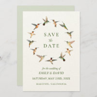 Rufous Hummingbirds Ankündigung Datum freihalten