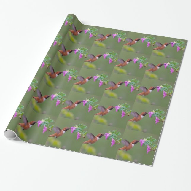 Rufous Kolibri auf wilder Rose Geschenkpapier (Ungerollt)