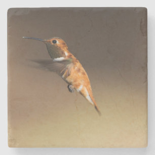 Rufous Kolibri im Flug Steinuntersetzer