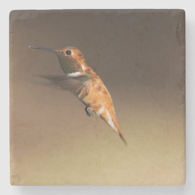 Rufous Kolibri im Flug Steinuntersetzer (Vorderseite)