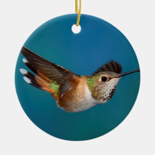 Rufous Kolibri Keramik Ornament (Vorne)