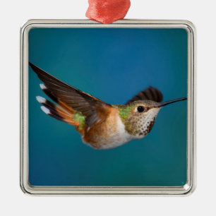 Rufous Kolibri Ornament Aus Metall