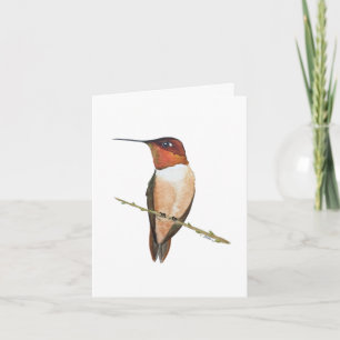 Rufous-Komingbird-Karte Karte