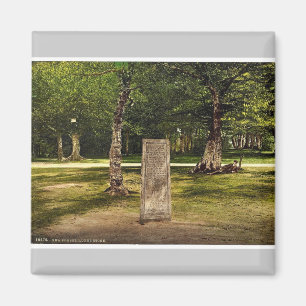 Rufus entsteinen, neuer Wald, Winchester, seltenes Magnet
