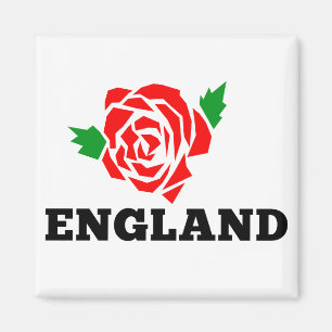 Rugby England Englische Rose Magnet