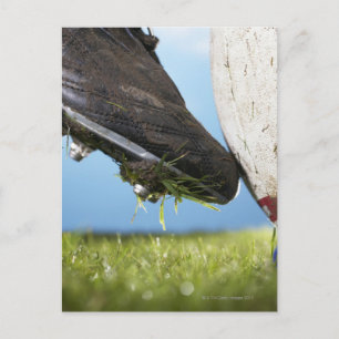 Rugby-Spieler Kickball off tee, nah aus Postkarte