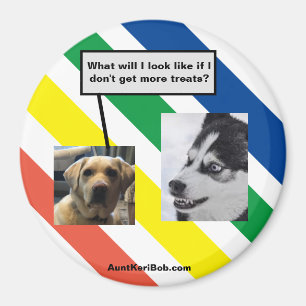 Ruger in the future magnet