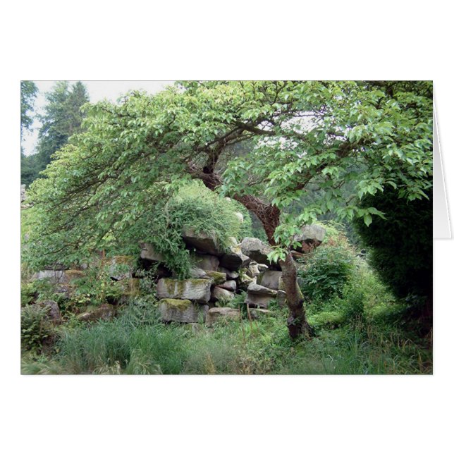 Ruhe (Vorderseite (Horizontal))