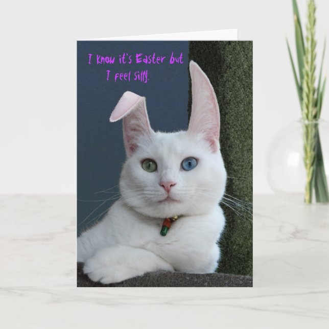 Ruhe als Häschenkarte - besonders angefertigt Feiertagskarte (Vorderseite)