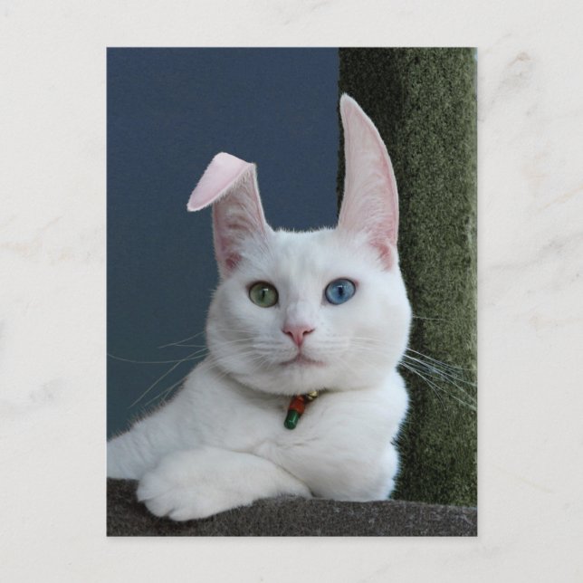 Ruhe als sonnige Postkarte (Vorderseite)