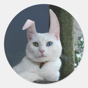 Ruhe als sonniger Aufkleber