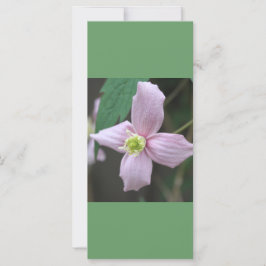 Ruhe behalten und lest auf, rosa Gartenanlage Blum