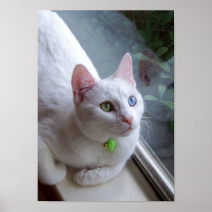 Ruhe durch Fensterplakat Poster