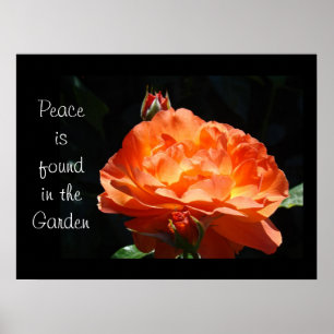 Ruhe finden Sie in den Rose des Garden Fine Art Pr Poster