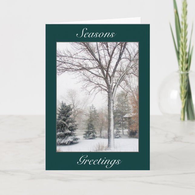 Ruhe im Blizzard Feiertagskarte (Vorderseite)