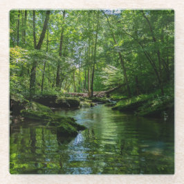 Ruhe im Wald Glasuntersetzer
