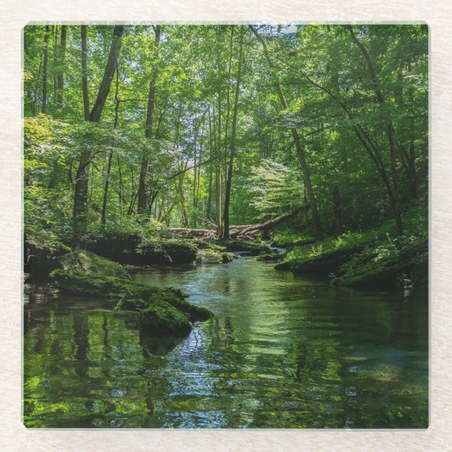 Ruhe im Wald  Glasuntersetzer (Vorderseite)