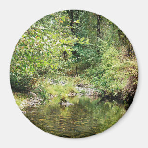 Ruhe im Wald...... Magnet