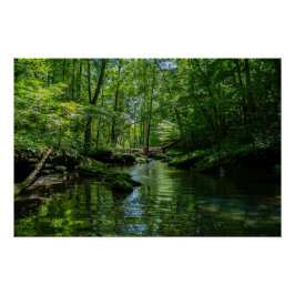 Ruhe im Wald Poster